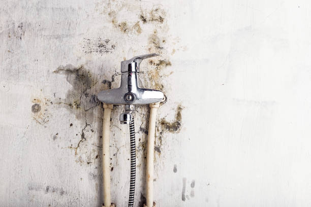 Professional Mold Remediation in Kingstowne, VA