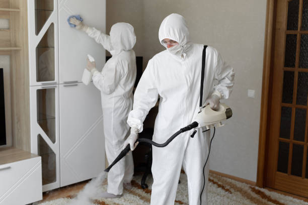 Best White Mold Remediation in Kingstowne, VA