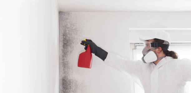 Best Bathroom Mold Remediation in Kingstowne, VA